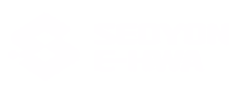 Seoyon E-Hwa